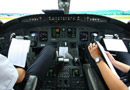 Plane co-pilot consultant